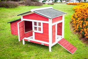 Poulailler extérieur en bois poulailler cage à volaille rouge avec plateau, rampe et nichoir pour une utilisation intérieure et extérieure - Product Image 2