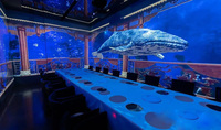 Panel de Video Flexible LED Space Time Tunnel P2.5 con HDR10+ a Todo Color 1080P para Publicidad Inmersiva en Interiores