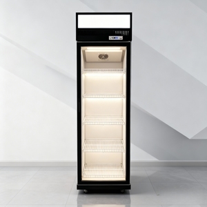 Réfrigérateur à boissons, refroidisseur <span class=keywords><strong>de</strong></span> <span class=keywords><strong>vin</strong></span> avec contrôle mécanique <span class=keywords><strong>de</strong></span> la température, design à porte vitrée pour usage domestique et commercial - Product Image 6