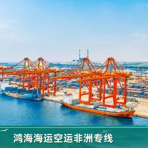 Logística en África de Hon Hai, Envío Marítimo y Aéreo, Transporte de Carga, 45 Días por Mar, 10 Días por Aire - Product Image 3
