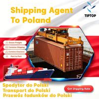 Agente de Transporte Marítimo, Puerto de Gdynia, Polonia, Puerto de Szczecin, Envío Aéreo DDP, Agente de Envío UPS, Servicio de Almacenamiento