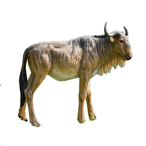 SE7ART personalizado al aire libre ñu decoración FRP tamaño real Animal Gnu Connochaetes Sculptura - Product Image 6