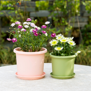 Bắc Âu Hiện Đại Vòng Trang Trí Nhựa Chậu Hoa Tùy Chỉnh Mọng Nước Trồng Cho Văn Phòng Nhà Vườn Nhà Máy Thiết Kế Mô Hình Độc Đáo - Product Image 5