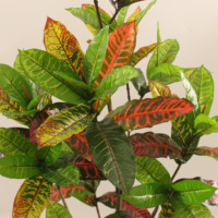 Plantes artificielles JWS4057, plantes en pot détachables multi-tailles personnalisées, décoration de plantes contemporaines pour le bureau, la cour, l'hôtel, la maison