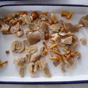 Bán buôn xuất khẩu lớp tươi đóng hộp trộn nấm, nemako, vua hàu, champignon trong nước muối OEM/ODM - Product Image 2