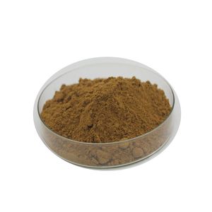 Kualitas Tinggi Ekstrak <span class=keywords><strong>Arnica</strong></span> Montana Bubuk <span class=keywords><strong>Arnica</strong></span> Montana Bubuk Bunga <span class=keywords><strong>Arnica</strong></span> Montana - Product Image 2