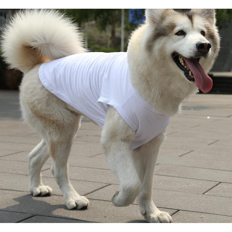 Gilet en pur coton blanc