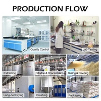 Supplément de soin sain, produit de soin, Halal sans gm, diabète, protéine de riz hydrolysée, Peptide pour la récupération d'énergie