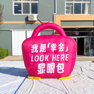 <span class=keywords><strong>Aero</strong></span> 2.4m largeur personnalisé géant publicité sac gonflable dessin animé - Product Image 5