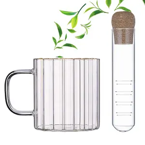 Commercio all'ingrosso di tè infusori tazza singola tazza di vetro 350ml borosilicato tazza da tè Set con riutilizzabile tubo di vetro infusore di tè