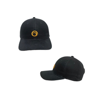 Nouvelle Arrivée 2024 – Casquette de Baseball Trucker Sportive et Ajustable 100% Coton avec Logo Personnalisé, Imperméable, pour Voyage, Emballage Personnalisé