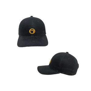 2024 nouveauté Logo personnalisé 100% coton casquette de Baseball étanche camionneur visière haute casquette de voyage emballage personnalisé Carton tissu - Product Image 1