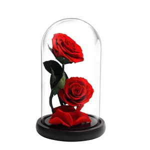 Фабрика навсегда цветок розы сохраненные красные розы длительный подарок на День Святого Валентина
