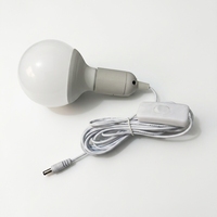 Ampoule LED 12V pour usage extérieur avec câble de 2,8 m ou 5 m, prise DC5521, interrupteur marche/arrêt, crochet métallique, CRI 80, 3000K/6500K, forme globe