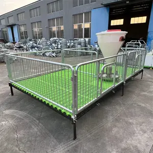 Hot Galvanized Steel PVC Wall Weaner Pig Cage