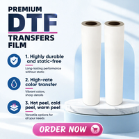 Film PET DTF A3 à haute température pour impression par transfert thermique, vente chaude, avec 130-160°C et un taux de transfert de 99% pour T-shirts et vêtements