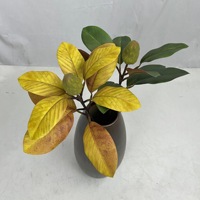 Branche de Magnolia Artificielle Réaliste, Fleur en Plastique Faite à la Main, Tige Imperméable, Décoration de Mariage