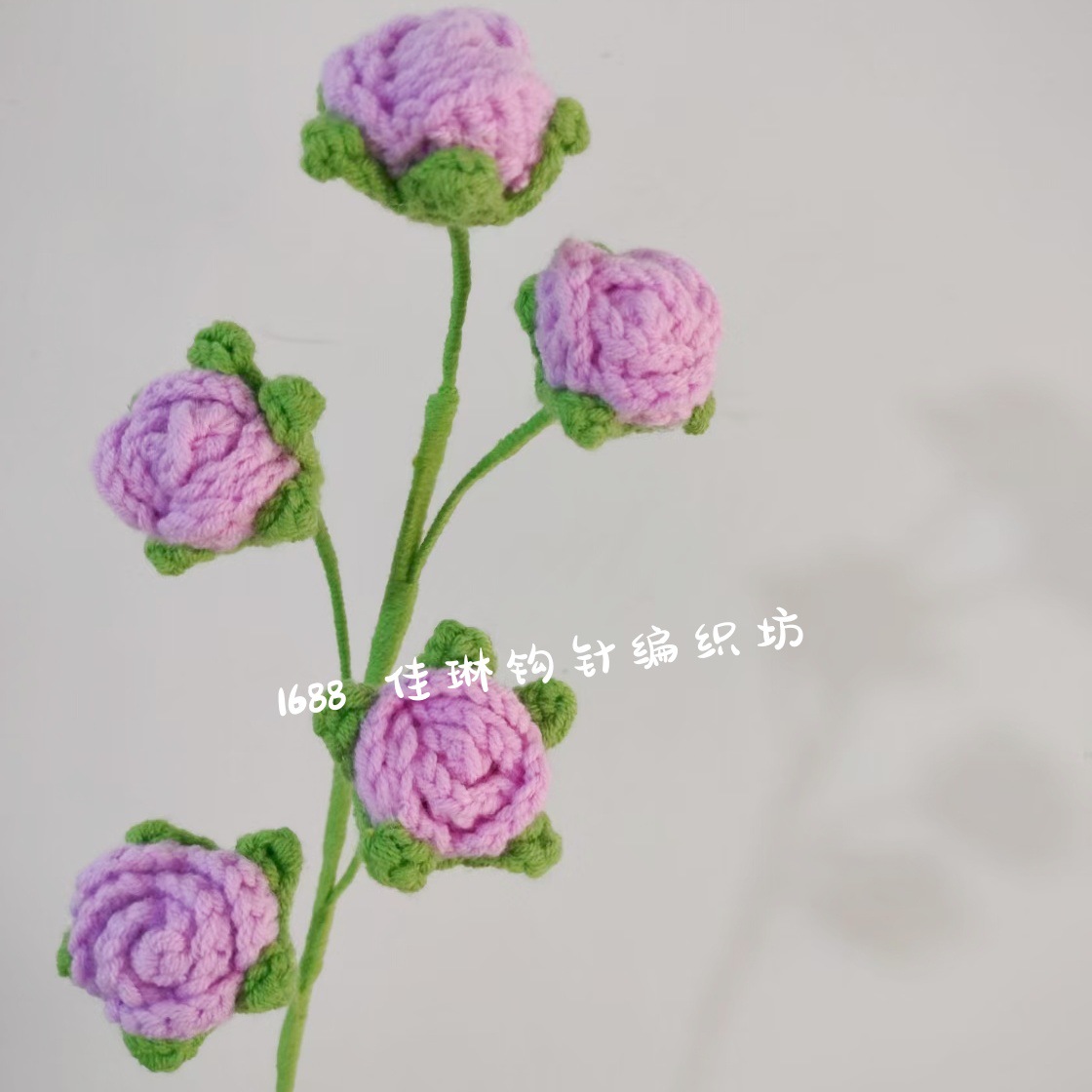 65 colore della radice di loto