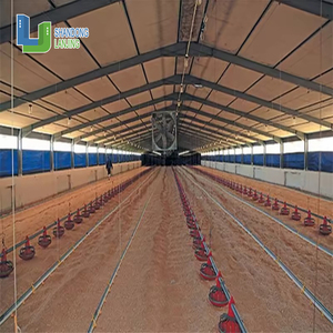 Fidji Îles <span class=keywords><strong>Salomon</strong></span> Structure en acier préfabriqué personnalisé populaire ferme avicole poulailler - Product Image 1