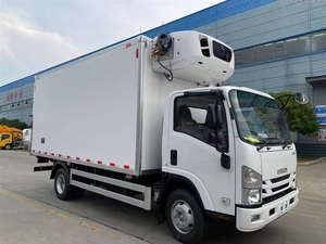Camion frigorifique Chine 700P 7 tonnes avec congélateur Thermo King pour le transport alimentaire - Product Image 3