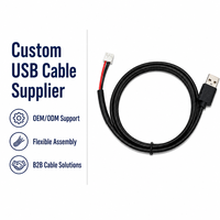 Câble USB personnalisé vers JST PH 2.0, faisceau de câbles d'alimentation USB, OEM ODM, câble 1007 pour la charge de batterie