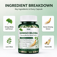 Capsules de Ginkgo Biloba OEM, 90 unités, avec Ginseng Coréen et Crinière de Lion, Complément Alimentaire