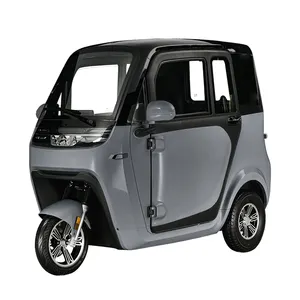 3 Seat Electric Car 3 Wheel Transport Vehicle New Energy Automobile