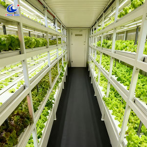 Mobiler Pflanzcontainer 40 Fuß Vertikaler Farming-Container Modulares Design Hydroponisches Anbausystem - Product Image 6