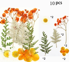 Flores Secas Prensadas Florales Variadas, Paquete Mixto de Flores Naturales Secas Prensadas para Manualidades - Product Image 4