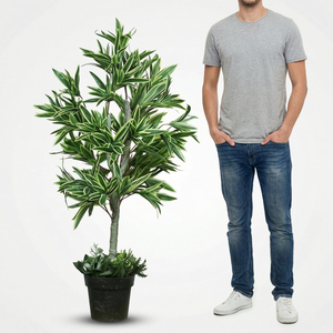 Pianta Artificiale Dracaena, Albero Decorativo in Vaso per Interni, Pianta Ornamentale Premium per Casa, Ufficio, Hotel, Lobby ed Eventi - Product Image 5