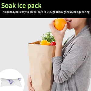 Xs100 Kích thước phổ biến được phê duyệt bán chạy nhất tùy chỉnh <span class=keywords><strong>Mini</strong></span> Tủ đông <span class=keywords><strong>Ice</strong></span> Pack nhựa băng tấm - Product Image 5