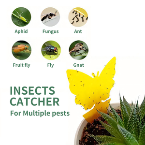 40 cái bẫy dính nhiều kích cỡ cho nấm <span class=keywords><strong>Gnat</strong></span> (thực vật), bay insec, có thể sử dụng trong bẫy côn trùng màu vàng cho trong nhà, ngoài trời - Product Image 6