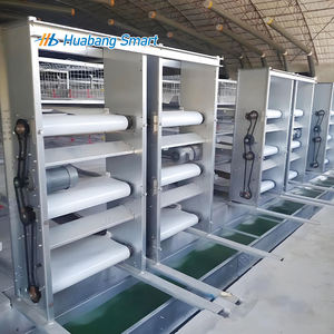 H tipi kanatlı kafes sistemi için katmanlı tavuk otomatik tavuk evi için çiftlik kafesi pil katmanlı çerçeve Broiler kafesleri - Product Image 6