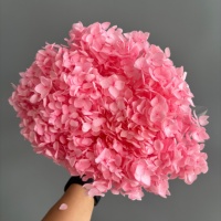 Hydrangea Anna stabilisée, hydrangea séché, grand bouquet, vente en gros, fleurs de mariage, décoration maison, restaurant, événements, arrangement Saint-Valentin
