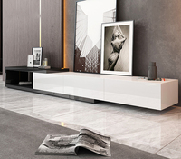 Design nordique moderne avec tiroir de rangement, accents noir, blanc et or pour meubles de salon