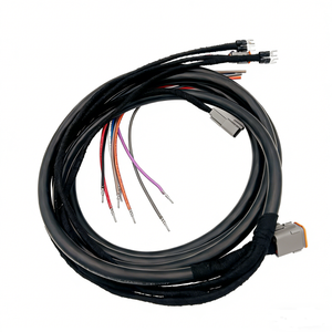 Maßgefertigter Auto-DT-Steckverbinder Wasserdichter Kabelbaum für Fahrzeugelektrik - Product Image 4