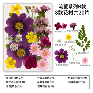 Lot de 20 à 23 packs de fleurs pressées <span class=keywords><strong>Firefly</strong></span> Series DIY Art Crafts pour fabriquer des plantes naturelles écologiques - Product Image 5