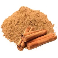 Extrait de Cannelle Pure Naturelle en Poudre en Gros pour Usines – Extrait Herbal