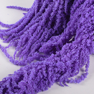 <span class=keywords><strong>Fleurs</strong></span> d'Amarante Conservées, Plante Séchée, Fleur d'Amaranthus Éternelle à Suspendre pour la Décoration de Mariage - Product Image 3