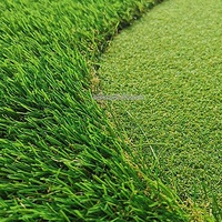 Mini terrain de golf, ensemble de golf en plein air avec trou, entraînement de golf, tapis vert avec 5 trous