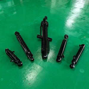 בוכנה הידראולית להרמת רכבים בעיצוב מותאם אישית, בוכנה הידראולית כפולת פעולה למלגזה, סט שלם - Product Image 5