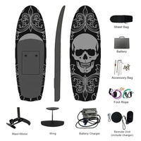 Planche de surf électrique en fibre de verre certifiée CE de haute qualité Efoil Hydrofoil pour les sports nautiques