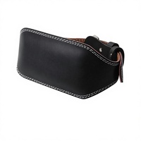Ceinture de Soutien Lombaire pour Adultes, Accessoire de Musculation et de Fitness pour Hommes et Femmes, Équipement de Bodybuilding pour Powerlifting et Gym