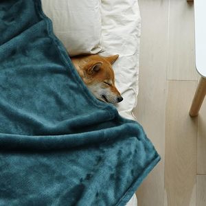 <span class=keywords><strong>Flannel</strong></span> giường chăn tất cả các mùa rắn màu nhà máy Bán buôn giá rẻ <span class=keywords><strong>flannel</strong></span> chăn cho nhà - Product Image 4