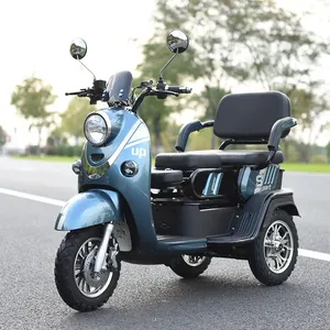 Scooter tricycle fermé à trois roues homologué EEC avec toit pour scooter de mobilité adulte - Product Image 3