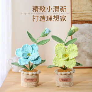 PLANTATION Artificielle <span class=keywords><strong>en</strong></span> Crochet de <span class=keywords><strong>Platycodon</strong></span> Grandiflorus <span class=keywords><strong>en</strong></span> <span class=keywords><strong>Pot</strong></span>, Ornements de Bureau à Domicile, Nouvelle Fabrication Artisanale <span class=keywords><strong>en</strong></span> Tricot - Product Image 2