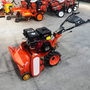 Kleiner Zweirad-Handrasenmäher mit Benzinmotor und Gehführung, Schlegelmäher - Product Image 4