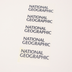 <strong>High</strong> <strong>Quality</strong> <strong>Custom</strong> Iron on Letters Heat Transfer <strong>Printing</strong> for Swimwear and Clothes Garment - Product Image 4