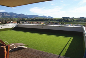 Meiuni — tapis <span class=keywords><strong>de</strong></span> pelouse synthétique, tapis pour jardin et arrière-cour, à bas prix, haute qualité - Product Image 6