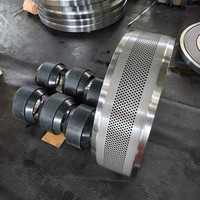 Matrice de granulation en acier inoxydable X46Cr13 forgée pour machine à granulés de bois et biomasse MATRICA RMP 650-105 MUNCH